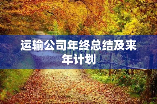 运输公司年终总结及来年计划