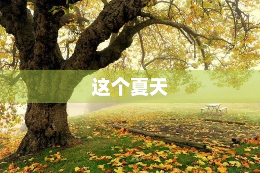 这个夏天