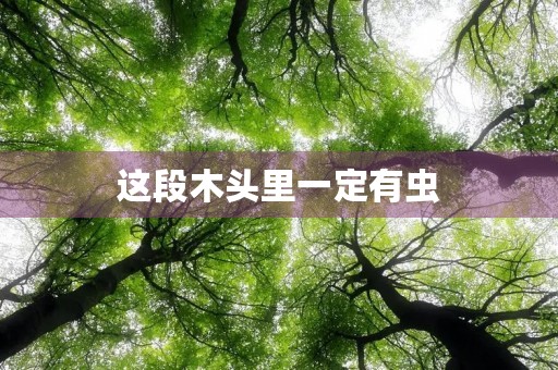 这段木头里一定有虫 这段木头里一定有虫