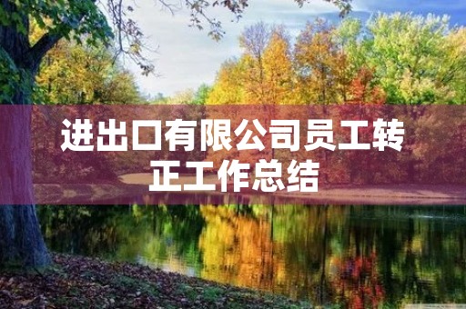 进出口有限公司员工转正工作总结