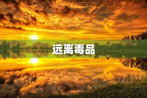 远离毒品