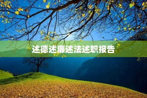 述德述廉述法述职报告
