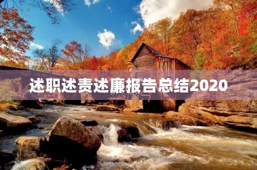 述职述责述廉报告总结2020