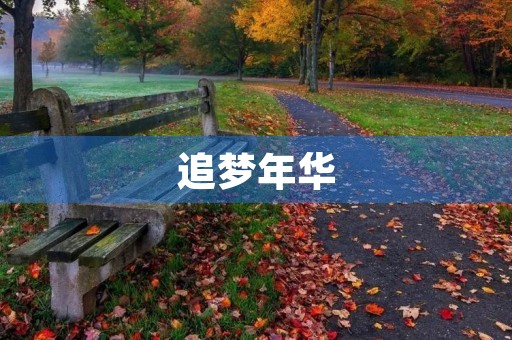 追梦年华 追梦年华