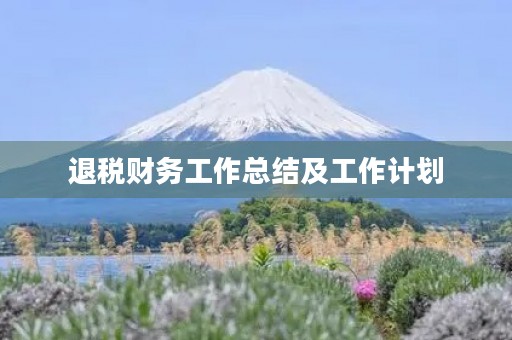 退税财务工作总结及工作计划