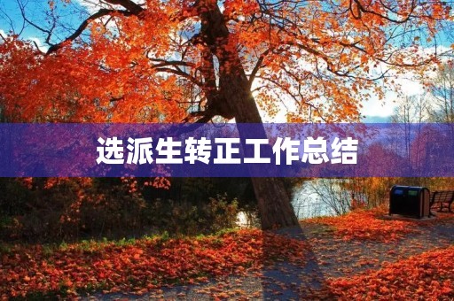 选派生转正工作总结