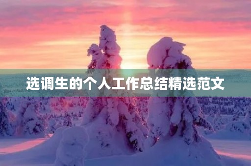 选调生的个人工作总结精选范文