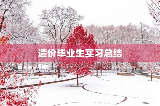 造价毕业生实习总结