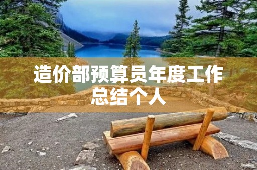 造价部预算员年度工作总结个人