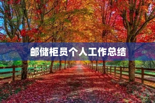 邮储柜员个人工作总结