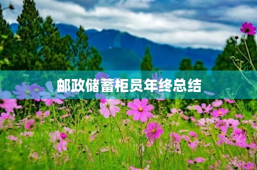 邮政储蓄柜员年终总结 邮政储蓄柜员年终总结