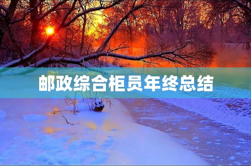 邮政综合柜员年终总结