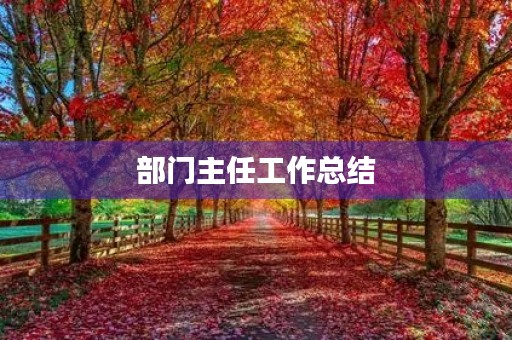 部门主任工作总结