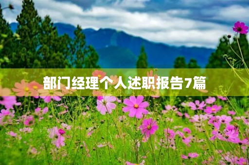 部门经理个人述职报告7篇