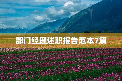 部门经理述职报告范本7篇