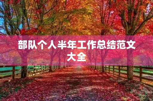 部队个人半年工作总结范文大全