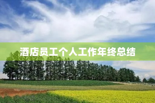酒店员工个人工作年终总结