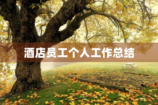酒店员工个人工作总结