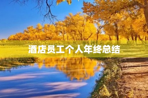 酒店员工个人年终总结