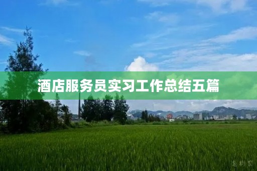 酒店服务员实习工作总结五篇 酒店服务员实习工作总结五篇