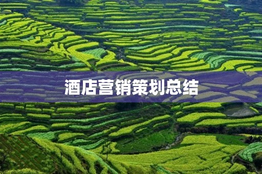 酒店营销策划总结
