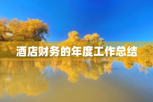 酒店财务的年度工作总结