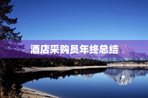 酒店采购员年终总结