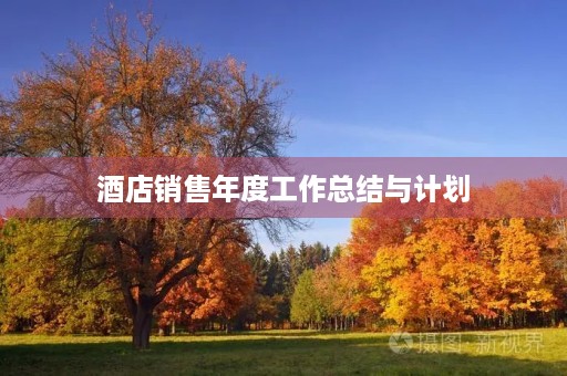 酒店销售年度工作总结与计划