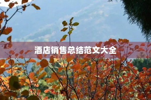 酒店销售总结范文大全