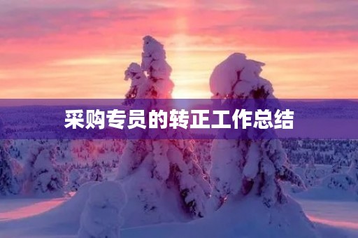 采购专员的转正工作总结