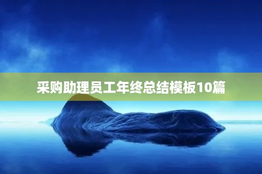 采购助理员工年终总结模板10篇
