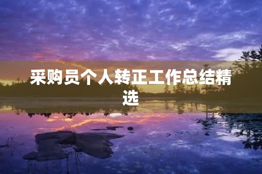 采购员个人转正工作总结精选