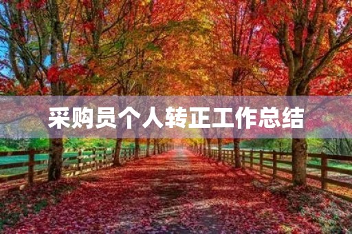 采购员个人转正工作总结