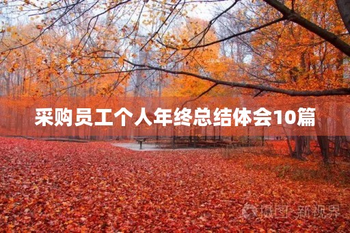 采购员工个人年终总结体会10篇 采购员工个人年终总结体会10篇