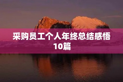 采购员工个人年终总结感悟10篇