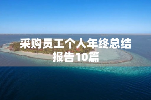 采购员工个人年终总结报告10篇