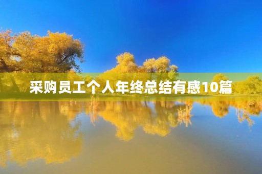 采购员工个人年终总结有感10篇 采购员工个人年终总结有感10篇