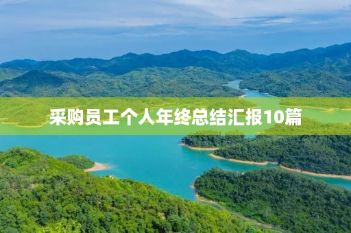 采购员工个人年终总结汇报10篇