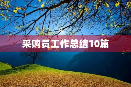 采购员工作总结10篇