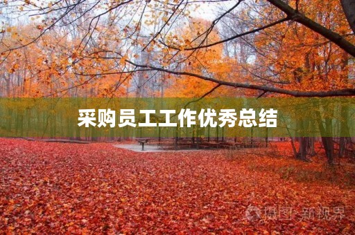 采购员工工作优秀总结