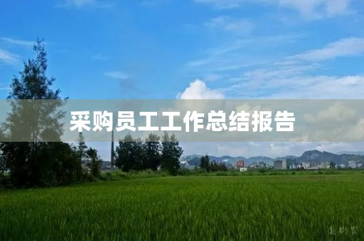 采购员工工作总结报告