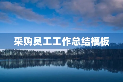 采购员工工作总结模板