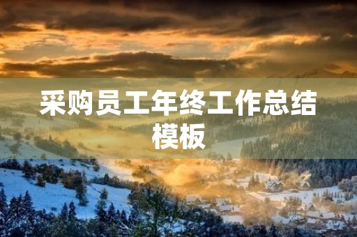 采购员工年终工作总结模板