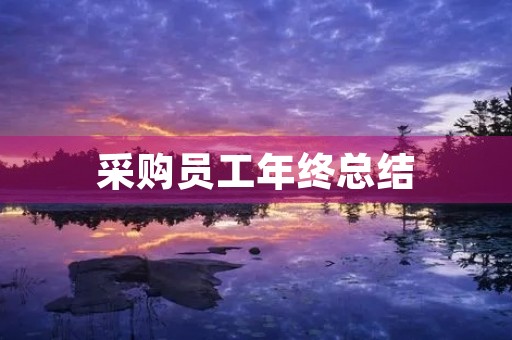 采购员工年终总结 采购员工年终总结