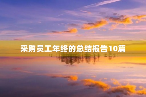 采购员工年终的总结报告10篇