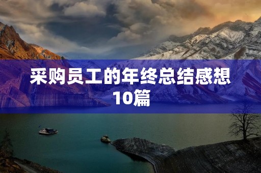 采购员工的年终总结感想10篇