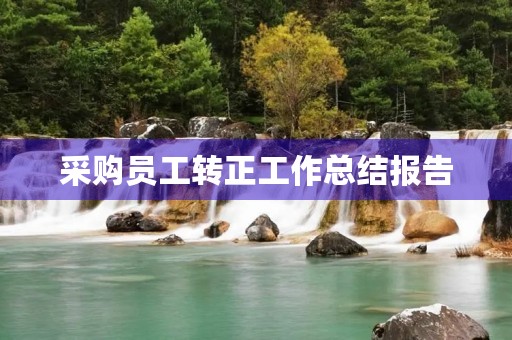 采购员工转正工作总结报告