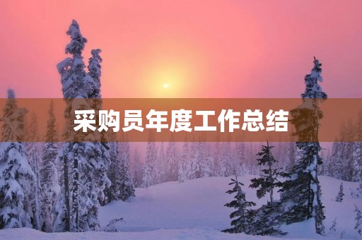 采购员年度工作总结