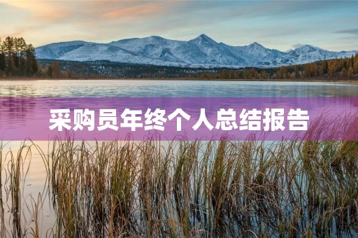 采购员年终个人总结报告（20篇）