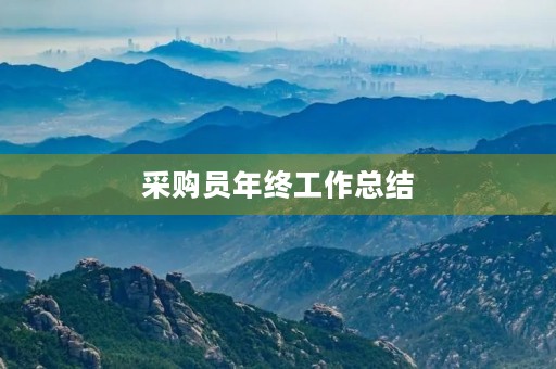 采购员年终工作总结